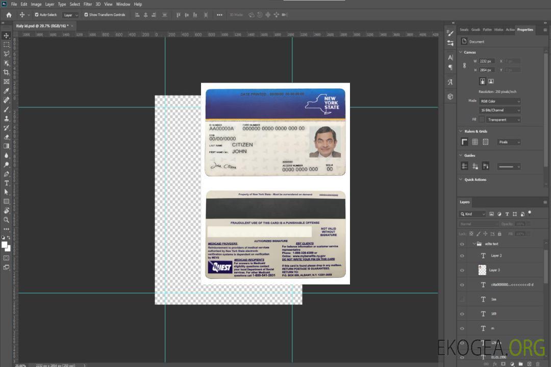 Carte Medicaid de l'État de New York aux États-Unis template